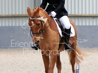 Lanark Riding Club Dressage March 2019