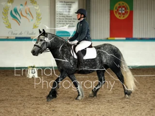 Lanark Riding Club Dressage