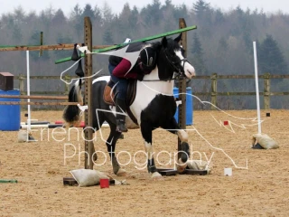 Le Trec February 2017