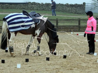 Class 4 Newcomers Elite