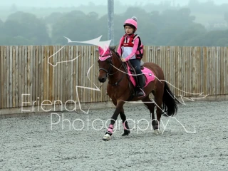 Stanmore Arena Eventing