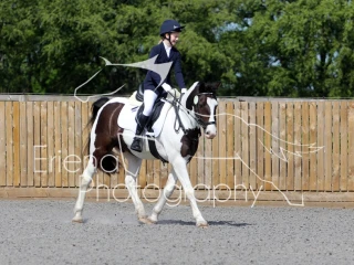 Stanmore Dressage June 2022