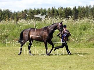 Strathkelvin Showing Show
