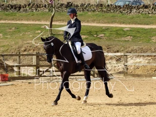 Elementary Championship