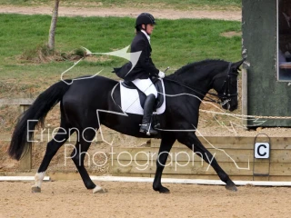Wittering Academy Dressage April 2017