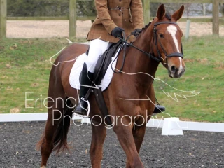 Wittering Academy Dressage April 2018