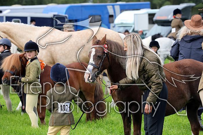 Carnwath2025Ring1003
