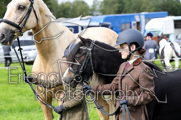 Carnwath2025Ring1008