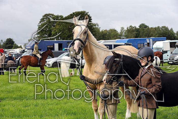 Carnwath2025Ring1009