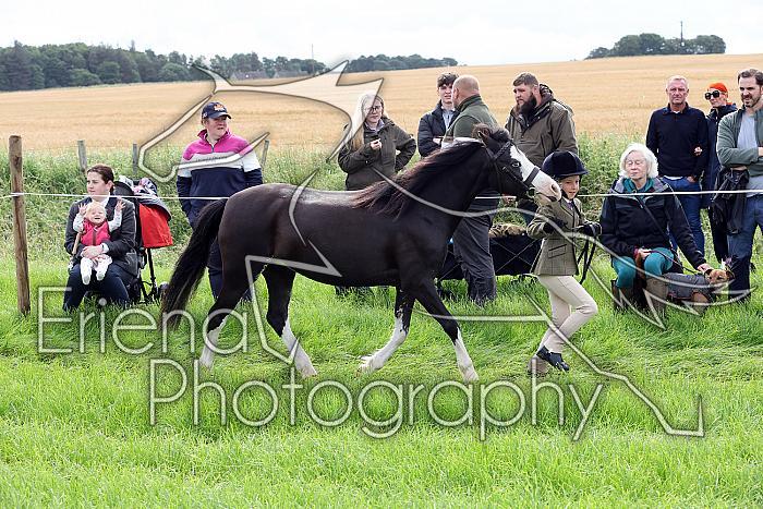 Carnwath2025Ring1010
