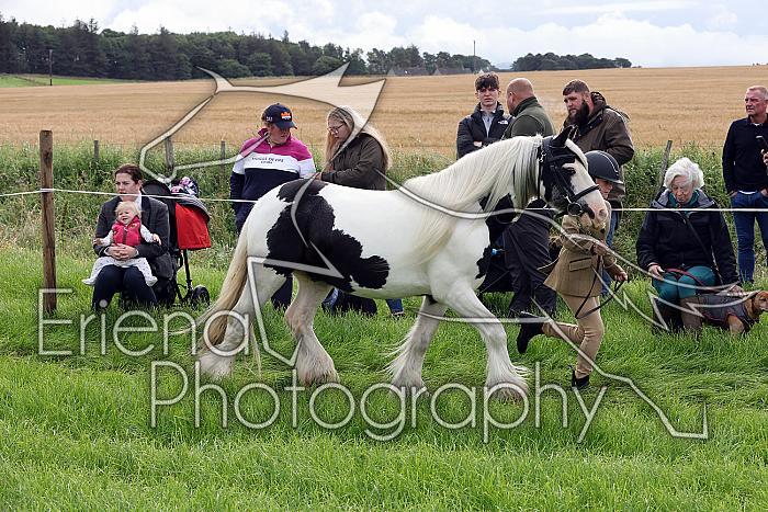 Carnwath2025Ring1020