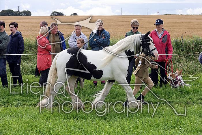 Carnwath2025Ring1022