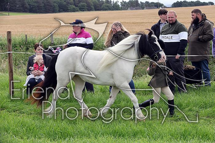Carnwath2025Ring1025