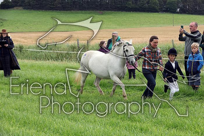Carnwath2025Ring1029