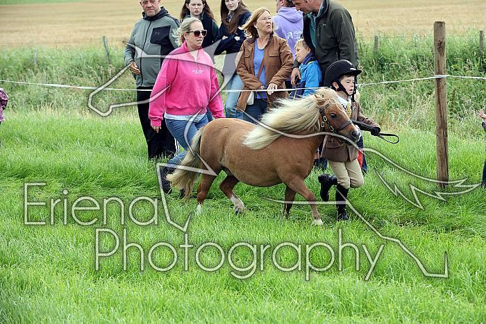 Carnwath2025Ring1041