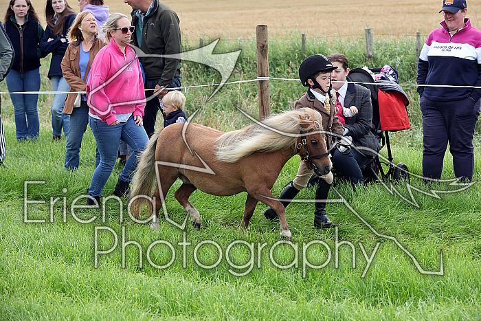 Carnwath2025Ring1042