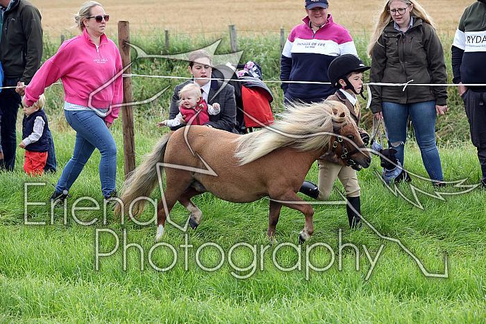 Carnwath2025Ring1043