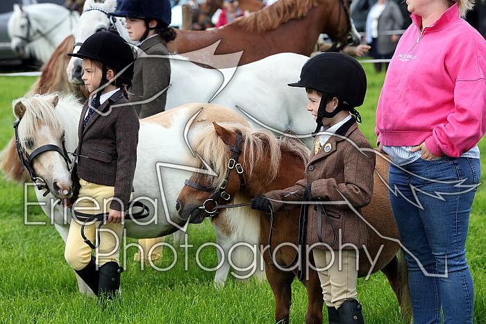 Carnwath2025Ring1049
