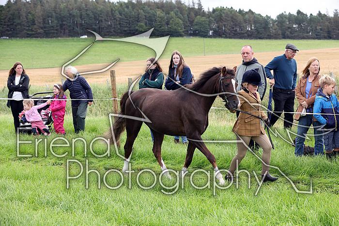 Carnwath2025Ring1050