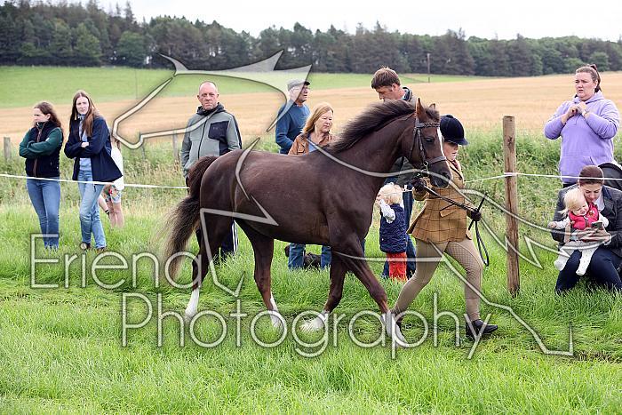 Carnwath2025Ring1051