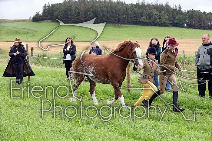 Carnwath2025Ring1058