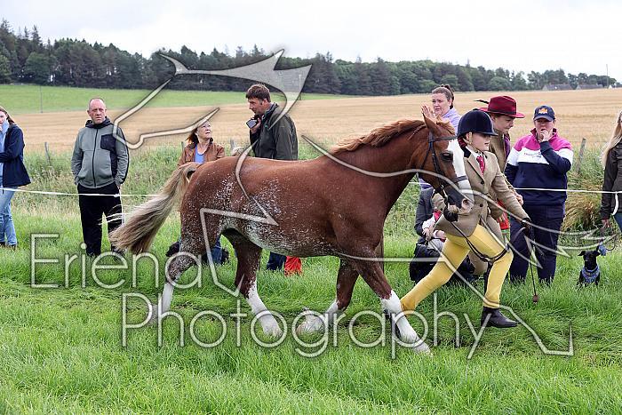 Carnwath2025Ring1060