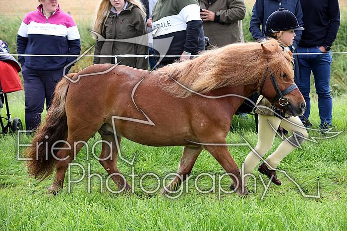 Carnwath2025Ring1070