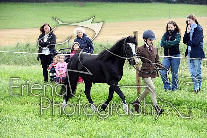Carnwath2025Ring1071