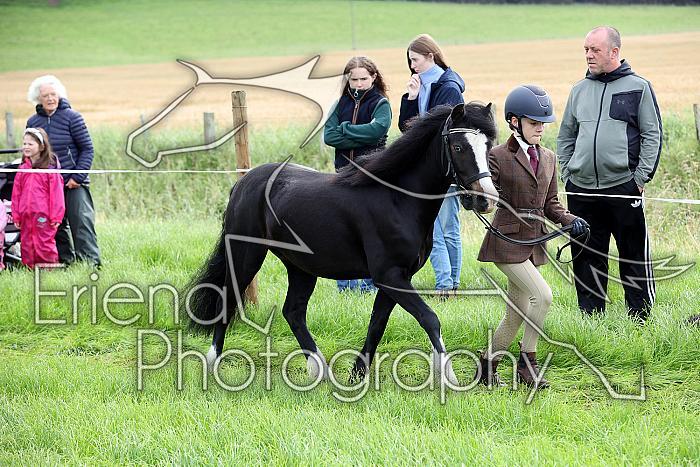 Carnwath2025Ring1072