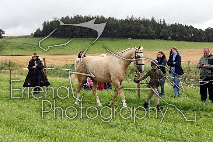 Carnwath2025Ring1075
