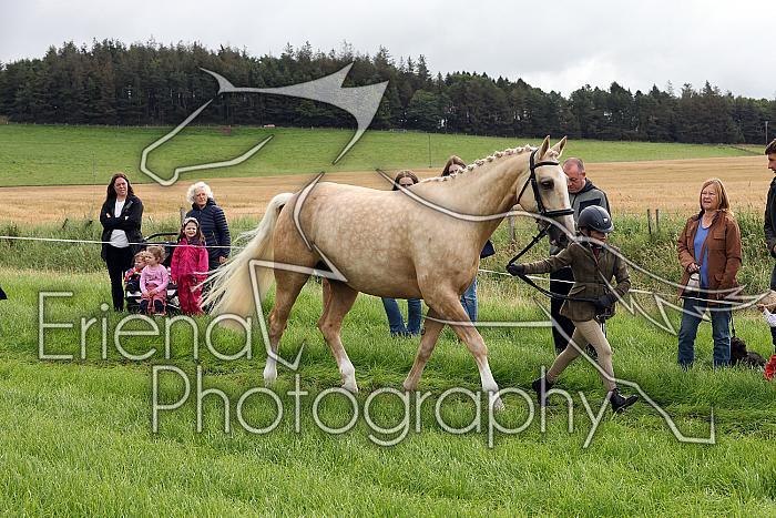 Carnwath2025Ring1076