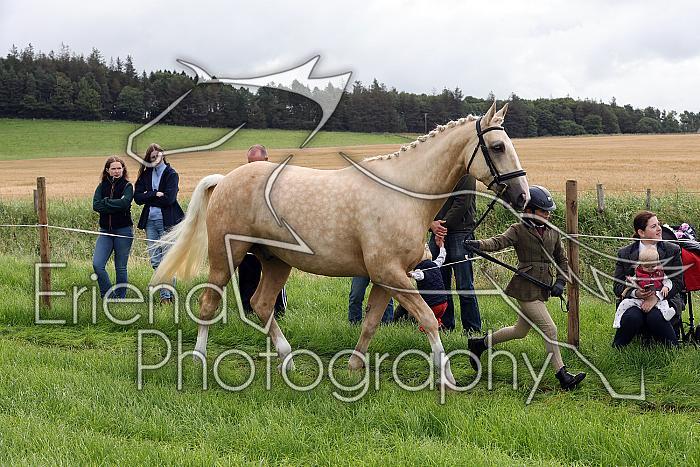 Carnwath2025Ring1077