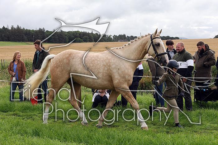 Carnwath2025Ring1078