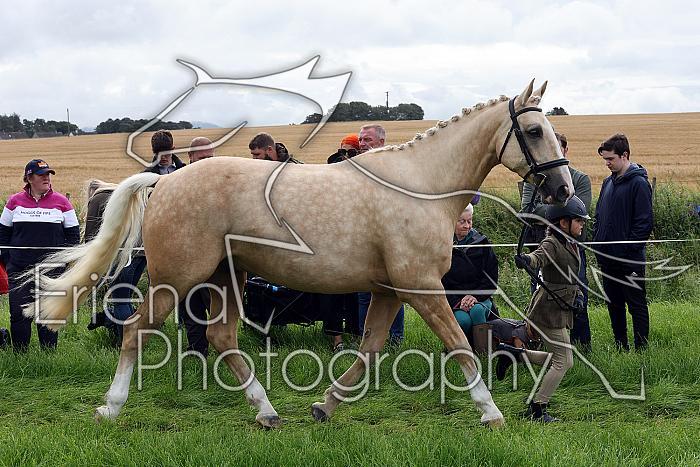Carnwath2025Ring1079