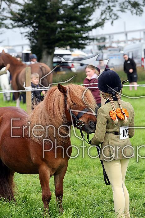 Carnwath2025Ring1087
