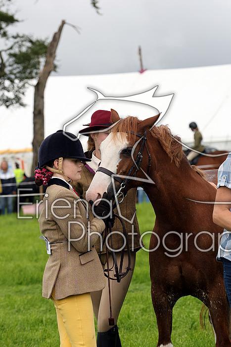 Carnwath2025Ring1093