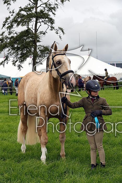 Carnwath2025Ring1102