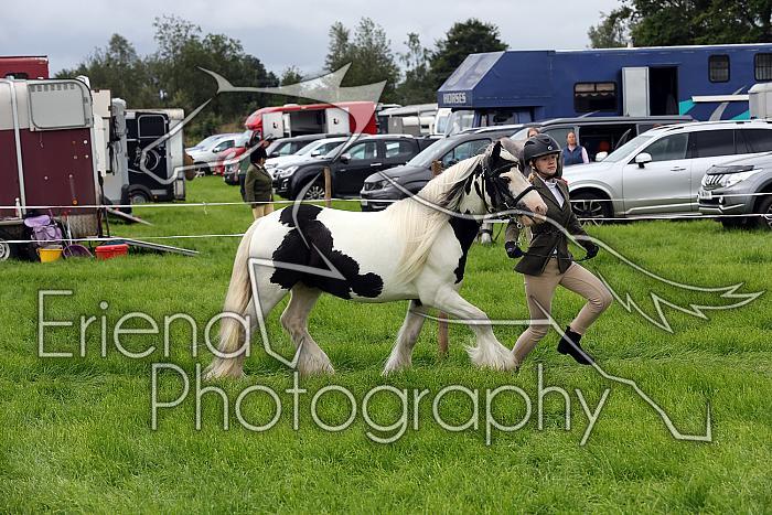 Carnwath2025Ring1126