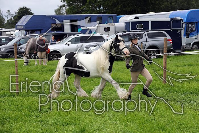 Carnwath2025Ring1127