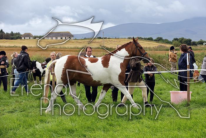 Carnwath2025Ring1129