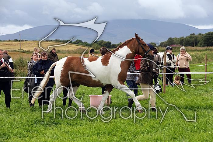 Carnwath2025Ring1130