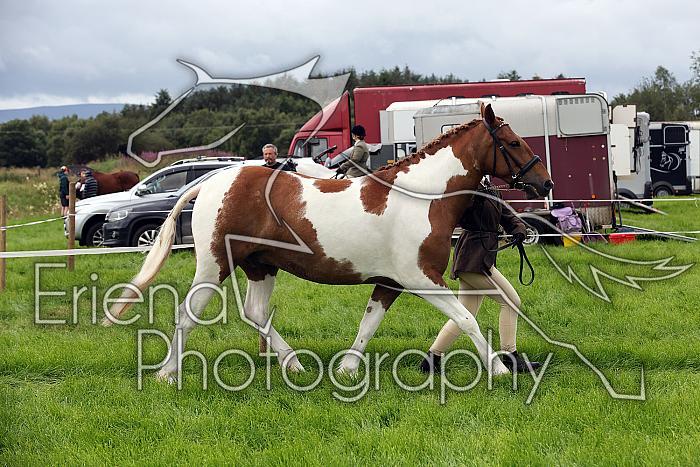 Carnwath2025Ring1131
