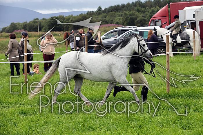 Carnwath2025Ring1135