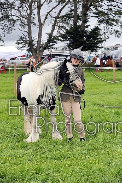 Carnwath2025Ring1142