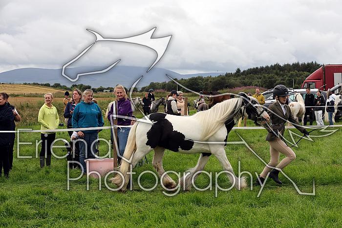 Carnwath2025Ring1143