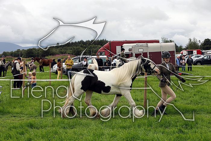 Carnwath2025Ring1144