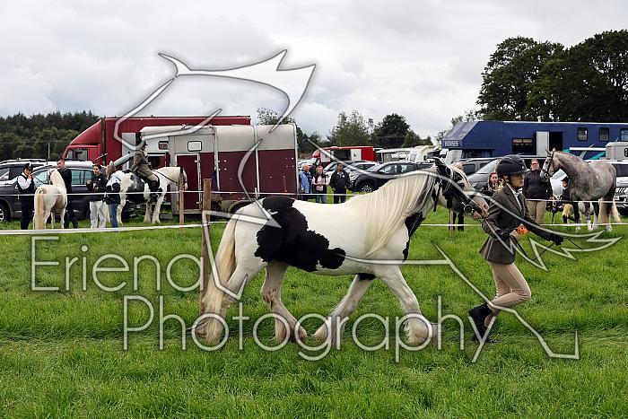 Carnwath2025Ring1145