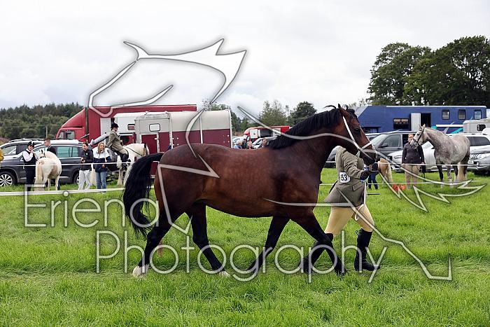 Carnwath2025Ring1146