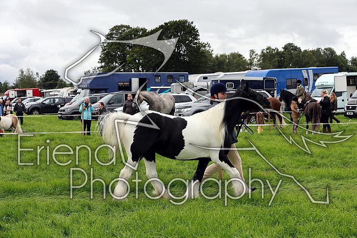 Carnwath2025Ring1147
