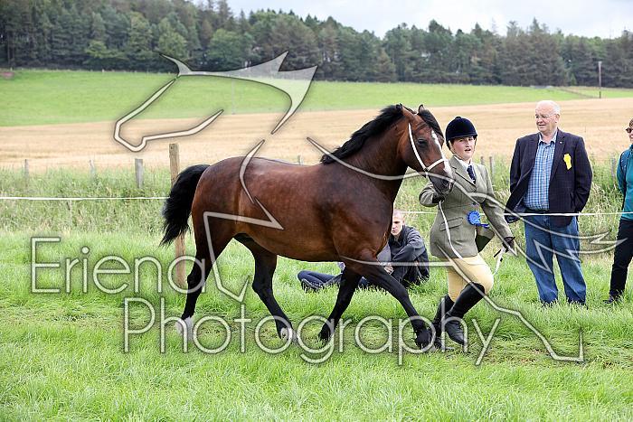 Carnwath2025Ring1151